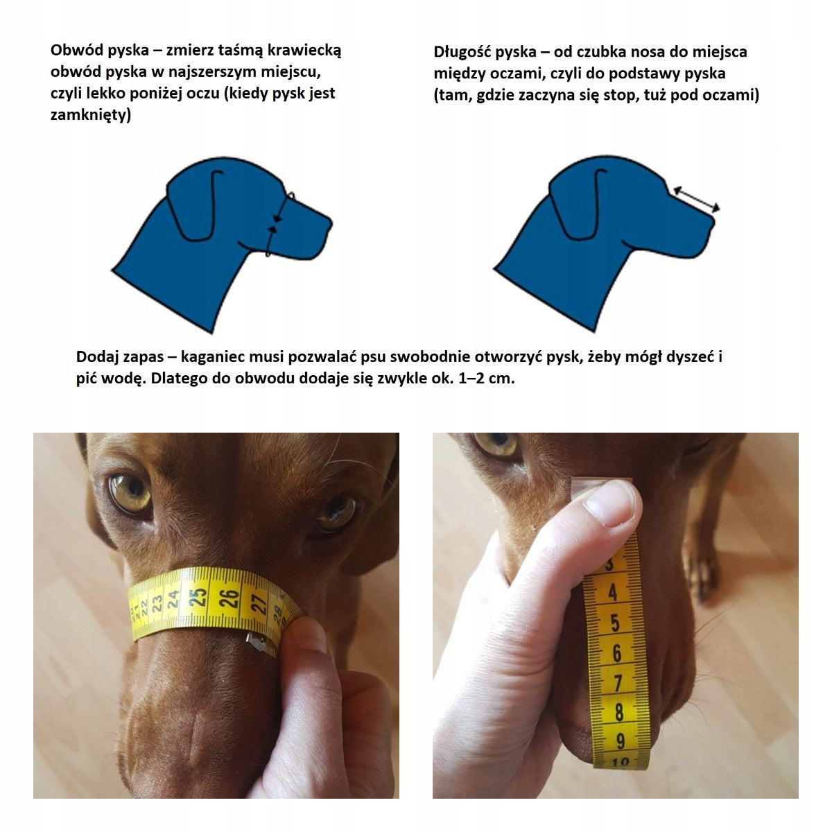 Leather muzzle for Dog Champion Rottweiler R1 35/8,5cm Manufacturer code SK R1