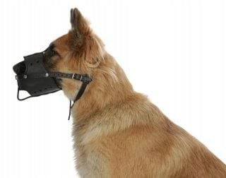 Leather muzzle for dog, 36 cm x 9,5 cm, Kerbl Manufacturer code 80839