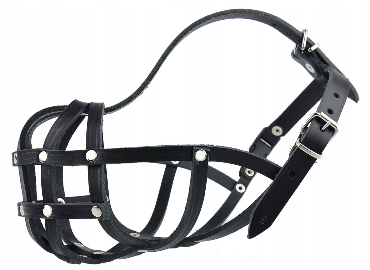 Leather muzzle for dog Champion Boxer B3 35/4,5cm
