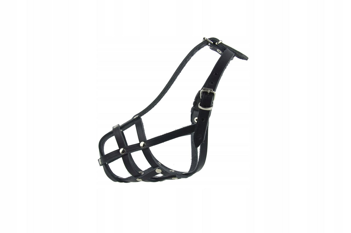 Leather muzzle for dog Champion SPIKE sk4