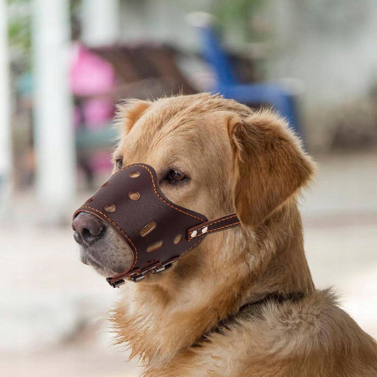 Leather muzzle for dog, breathable and comfortable Manufacturer code Zgouzuitao515