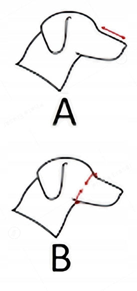 Leather muzzle for pug Champion M1 Manufacturer code SK MO2