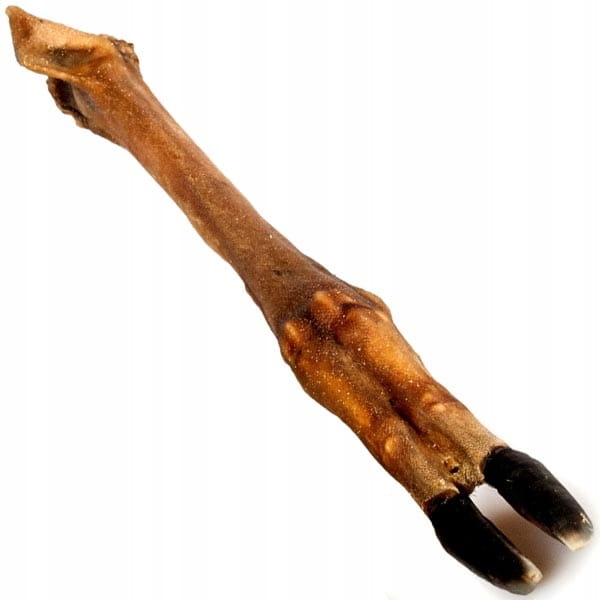 Leg RACICA DEER dried 100% natural 1 pc.