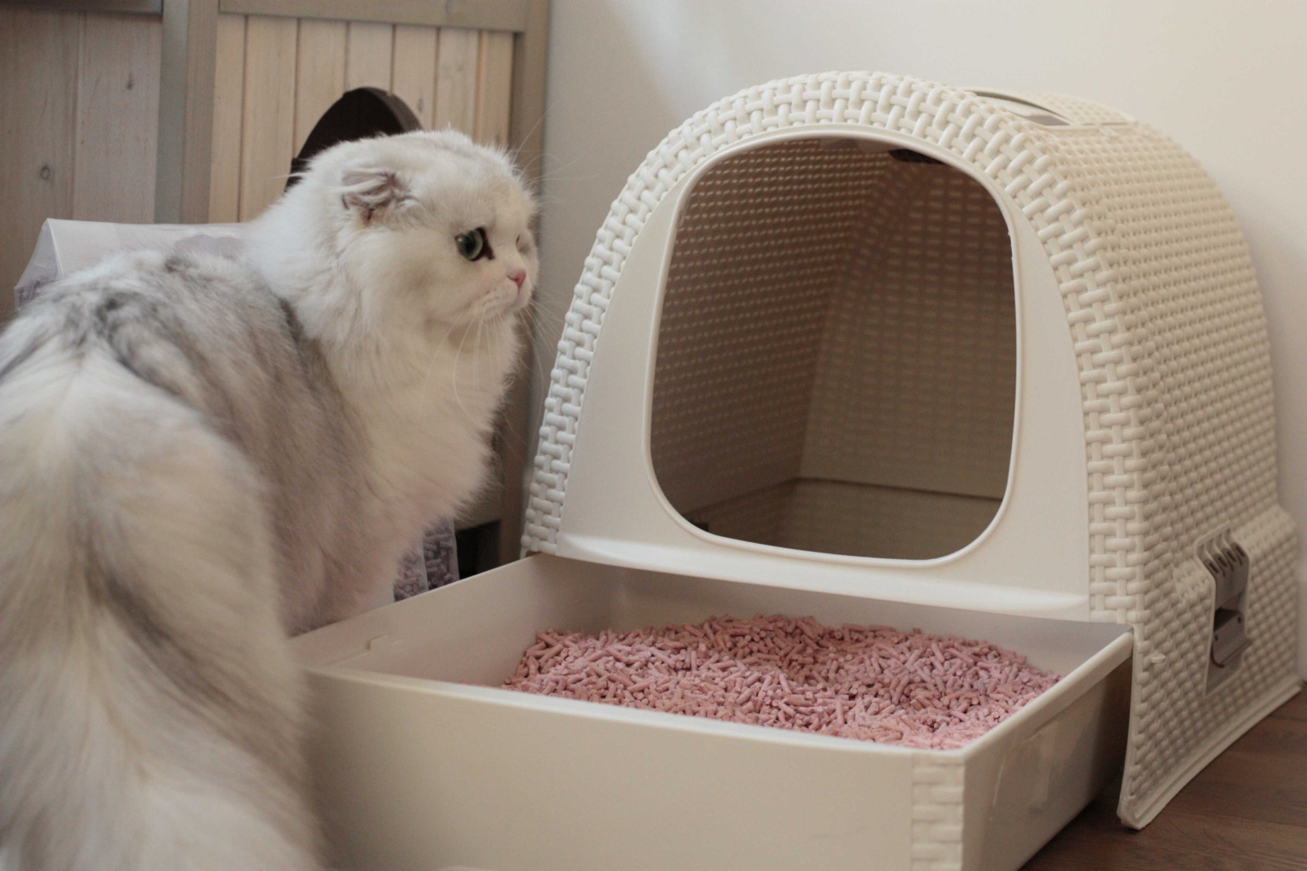 Leo Peach Scent Tofu Cat Litter – Safe Efficient Kind tofu