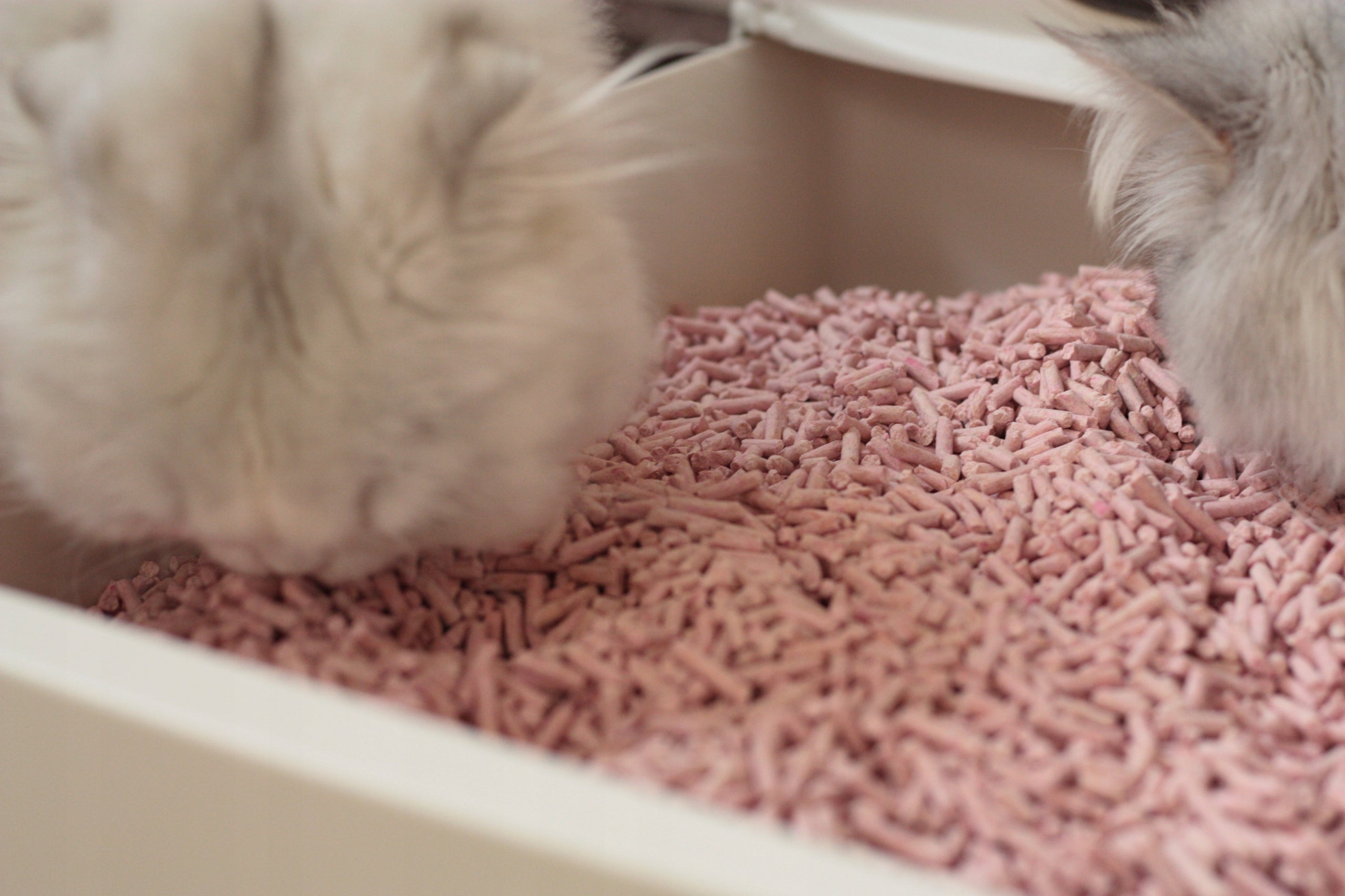 Leo Peach Scent Tofu Cat Litter – Safe Efficient Volume 6 l