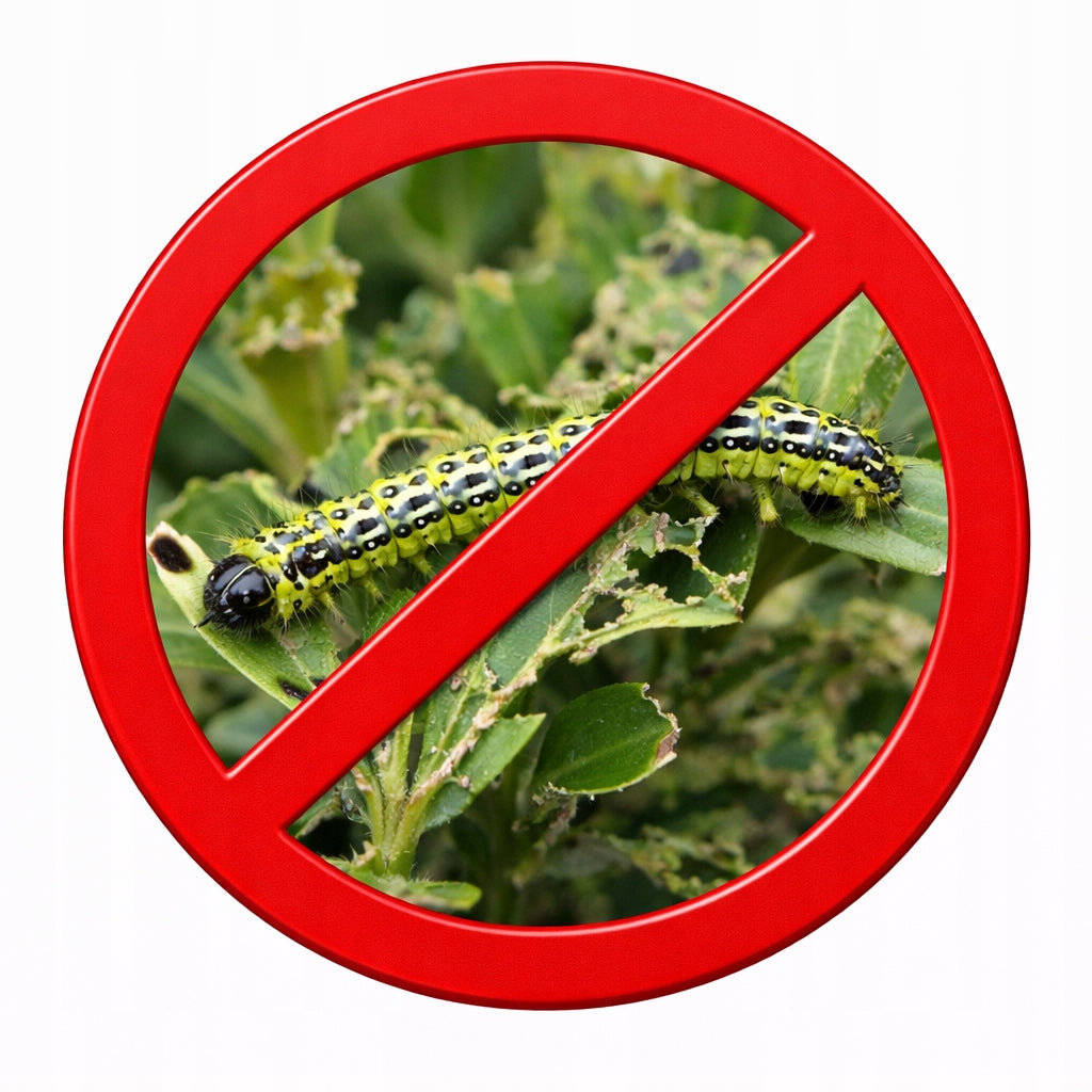 Lepinox Plus 10g fights Buffalo Moth and Caterpillars Insecticide Spray Manufacturer code 5904063830800