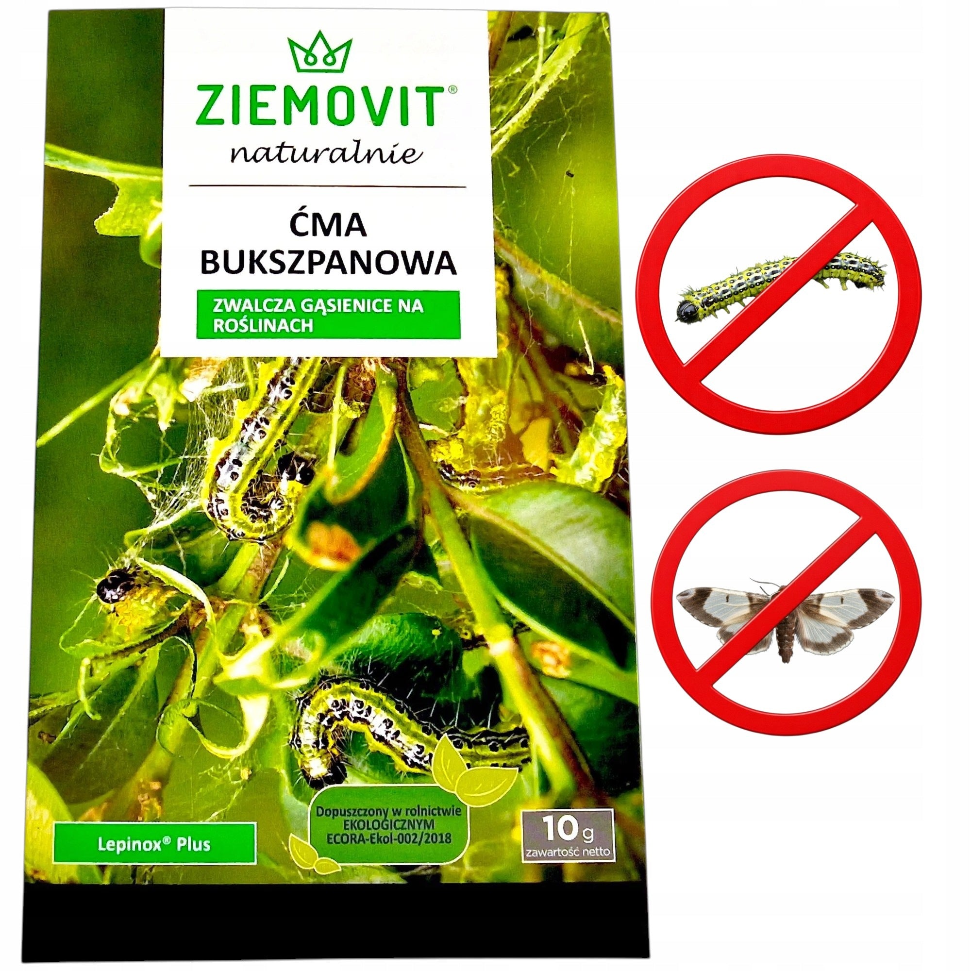 Lepinox Plus 10g fights Buffalo Moth and Caterpillars Insecticide Spray