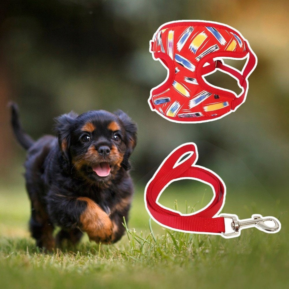 Light, Breathable, Pressure-Free Harness for a Small Dog + Red Leash Brand Unizoo