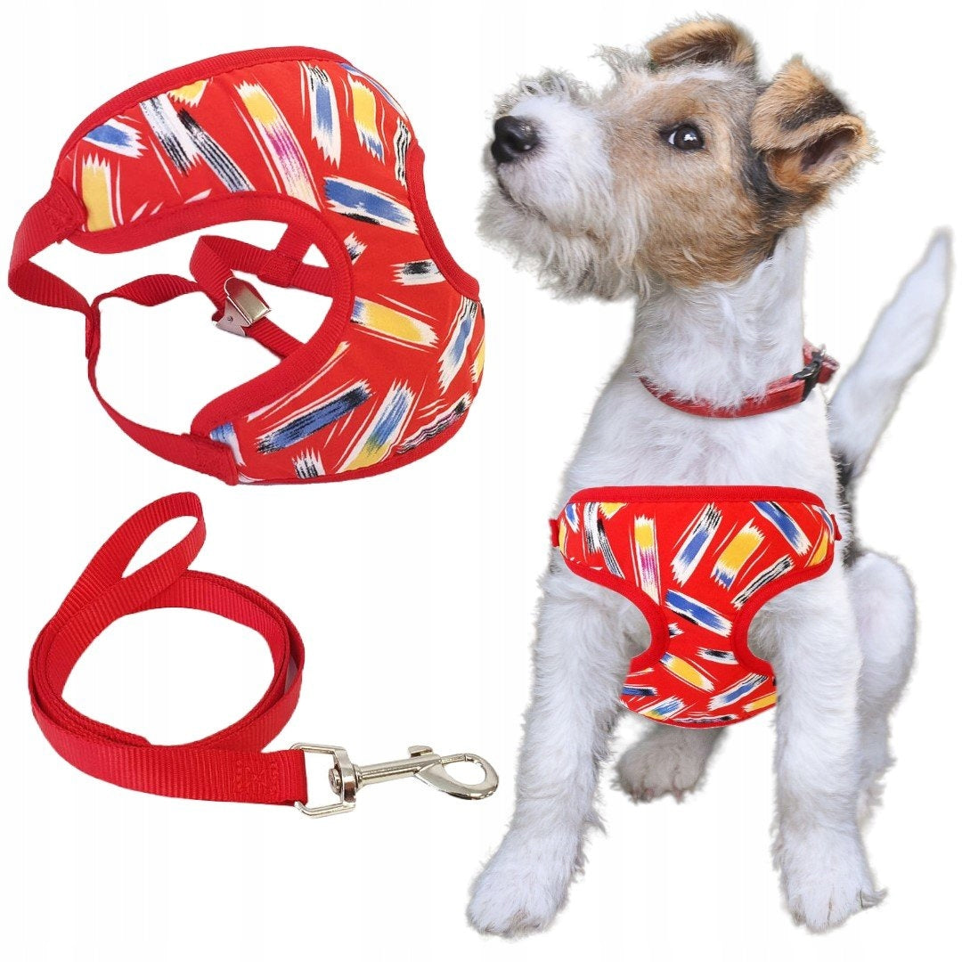 Light, Breathable, Pressure-Free Harness for a Small Dog + Red Leash