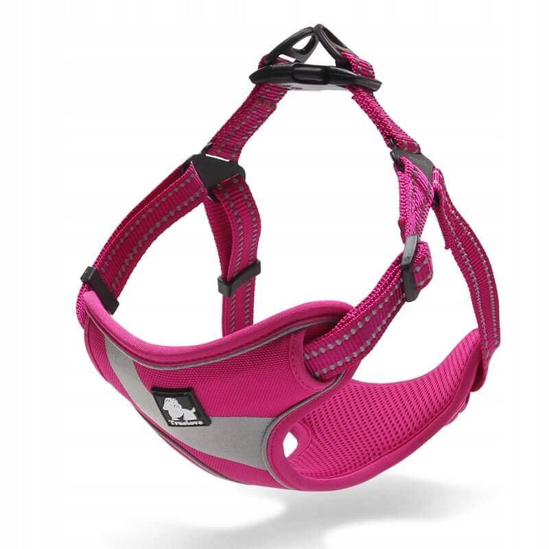 Lightweight Harness for small dog step in TRUELOVE S