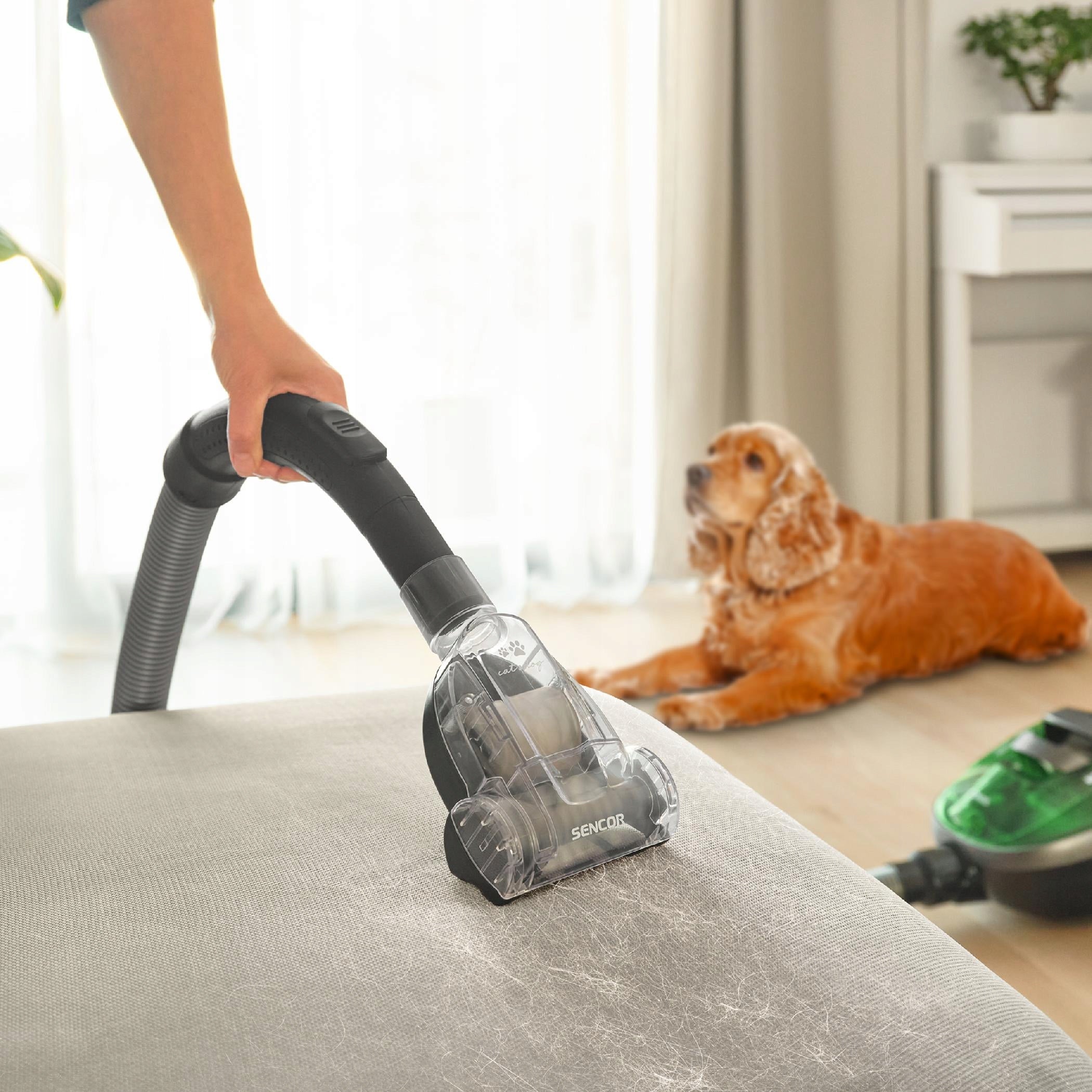 Lightweight POWERFUL Bagless Vacuum Cleaner Sencor SVC 1016GR Black 800W EPA E12 Model SVC 1016GR