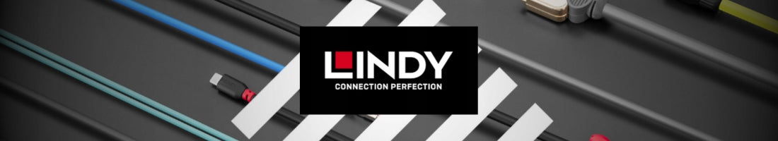Lindy 36605