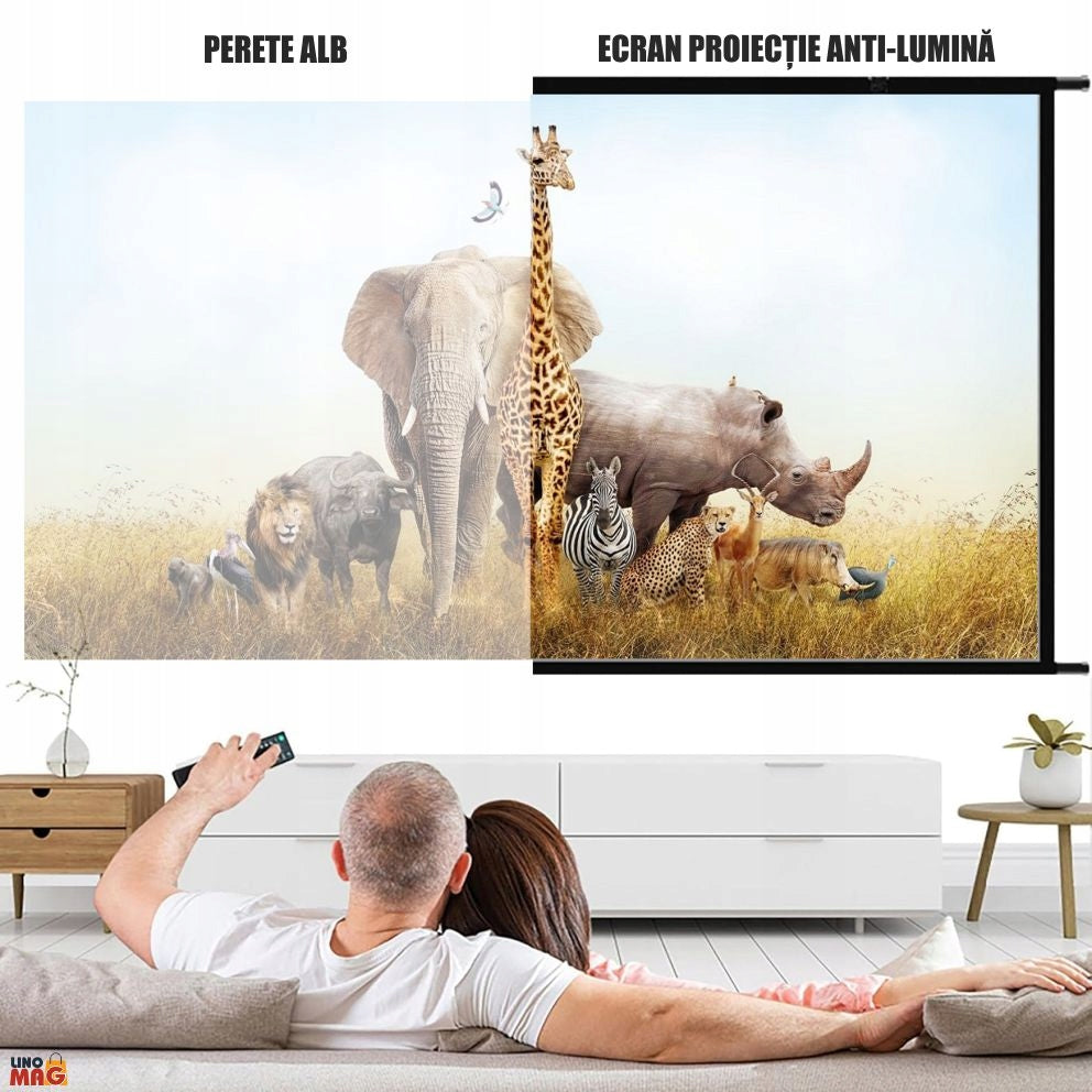 Linomag 120'' Projection Screen, 16:9, Anti-glare, Foldable, Grey Model Linomag