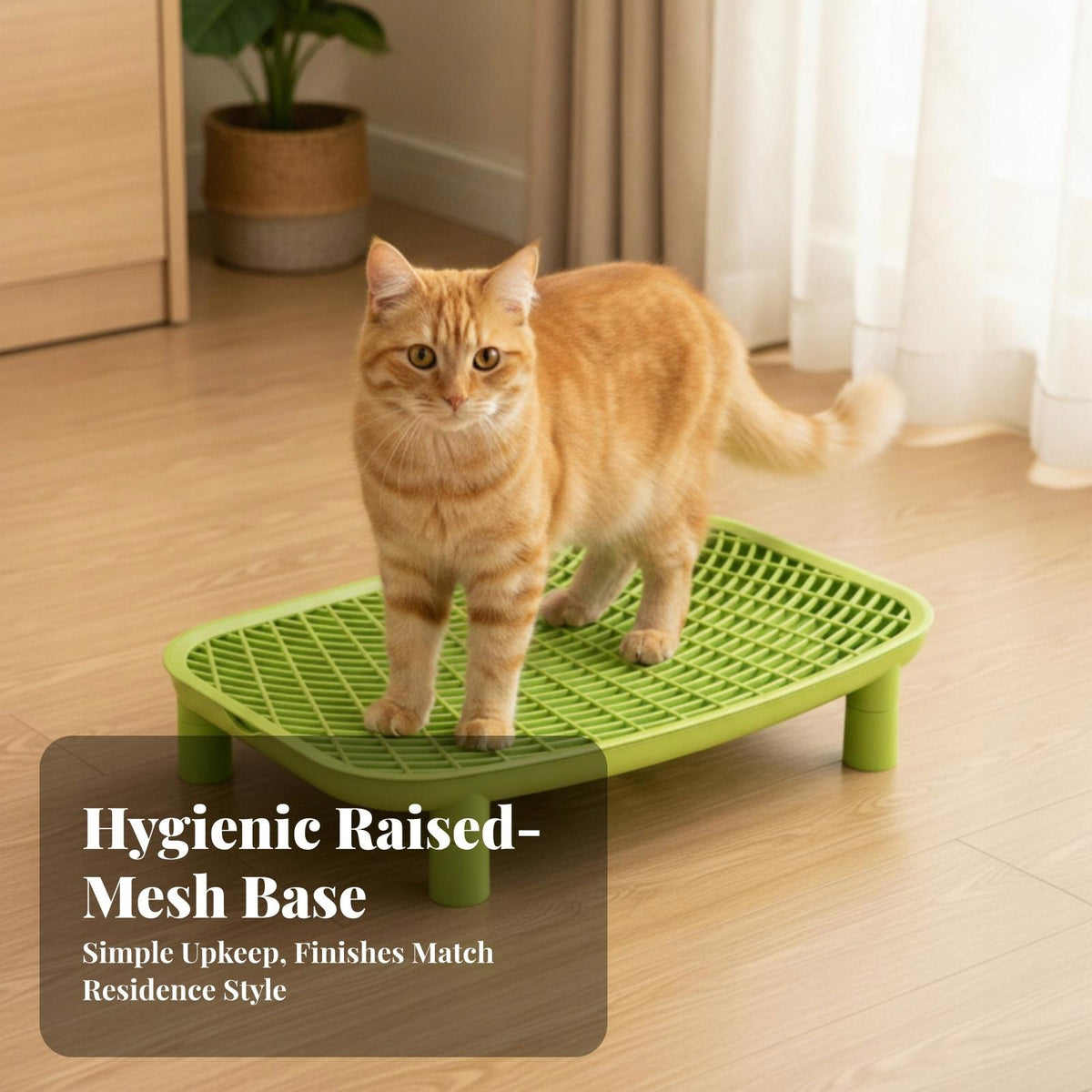 Litter Mat with Removable Grate | Litter Box Step, Easy Raised Detachable E Packaging status original