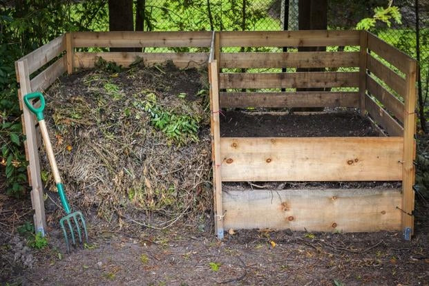 Live mycelium for removing tree trunks and roots Manufacturer Mycelium