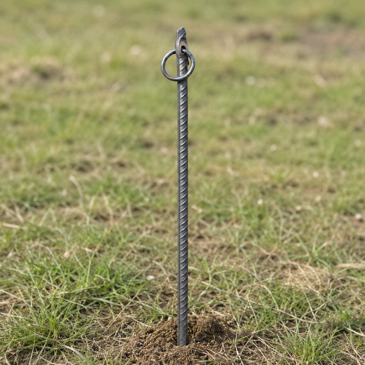 Livestock Ground Stakes Perforated Packaging status original