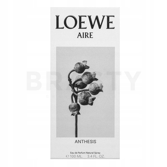 Loewe Aire Anthesis EDP 100 ml Brand Loewe