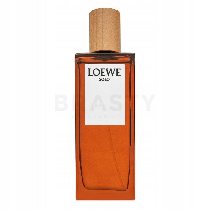 Loewe Solo Loewe Pour Homme EDT M 50 ml