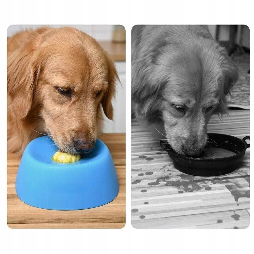 Lollipop for Dog Free Food Bowl Slower Ball Yogurt Food PETITU Brand no brand