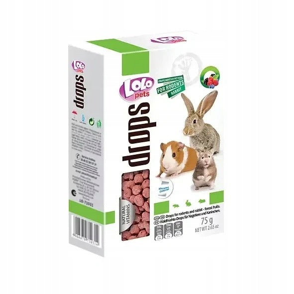 Lolo Pets Lolo Dropsy For Rodents Forest Fruit 75g