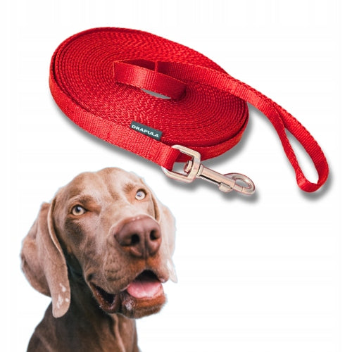 Long walking leash, training rope for dog - 5 meters - DRAPULA