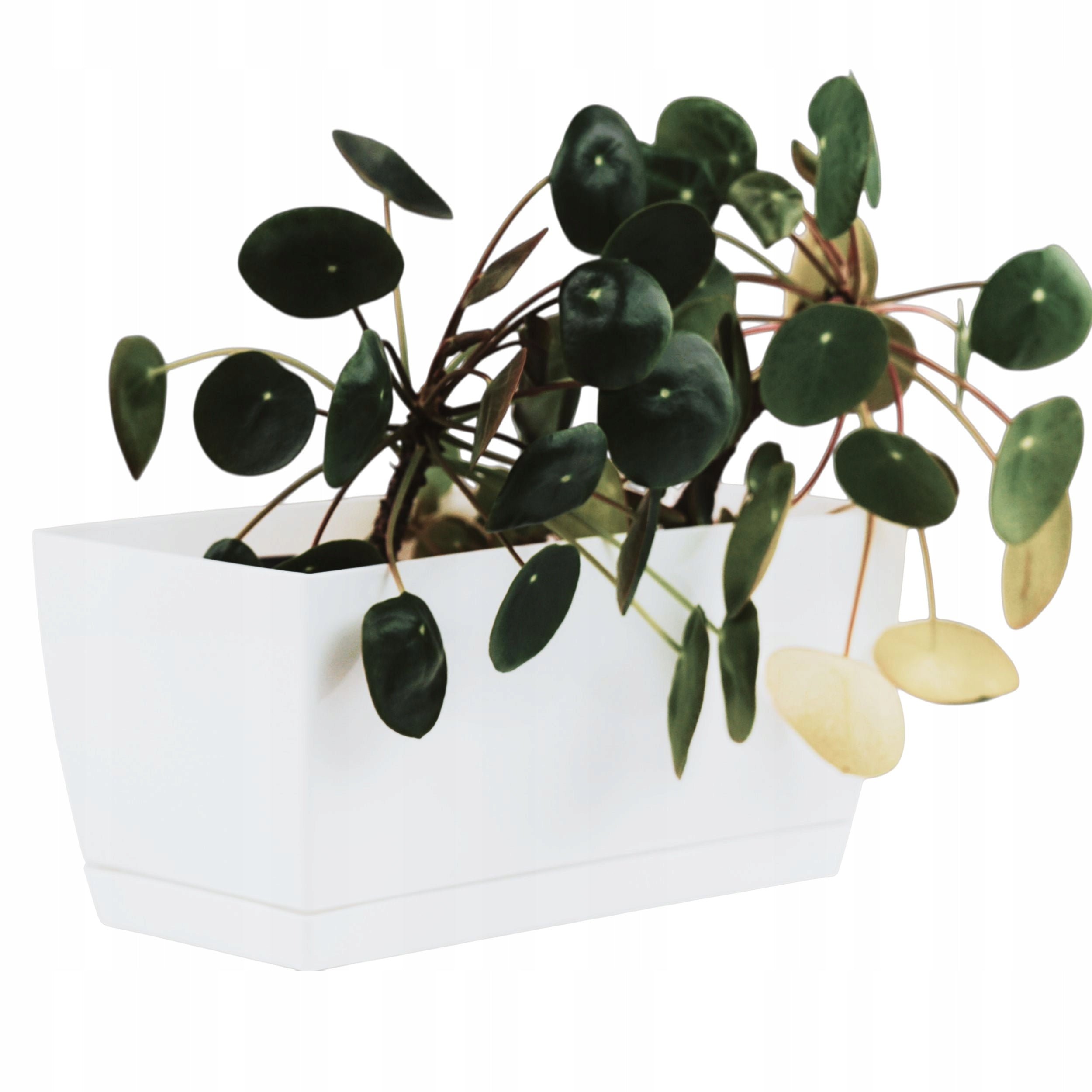 Low rectangular flower pot in gloss 29cm Planter + stand Length 29 cm