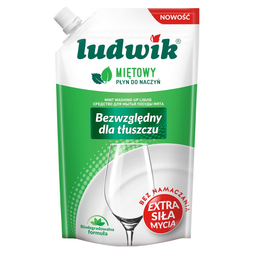 Ludwik - washing up liquid Mint 450g - stock