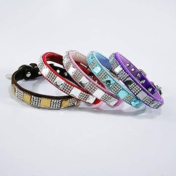 Luxurious Dog Collar with Zircons - Shine and Style