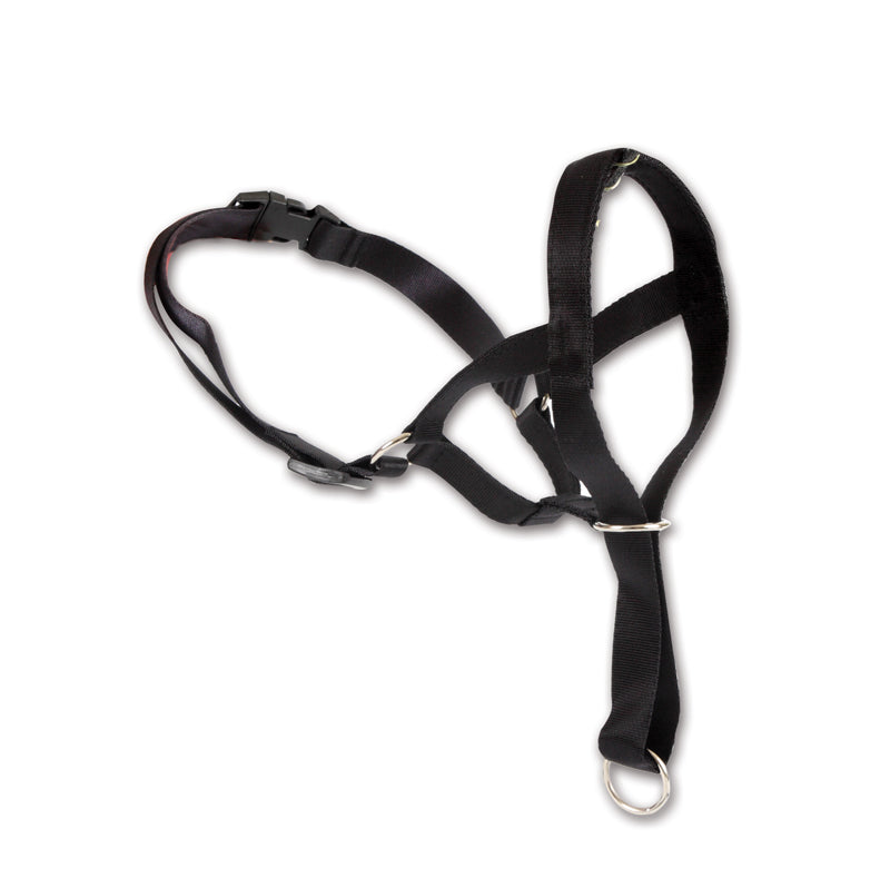 M bridle material muzzle