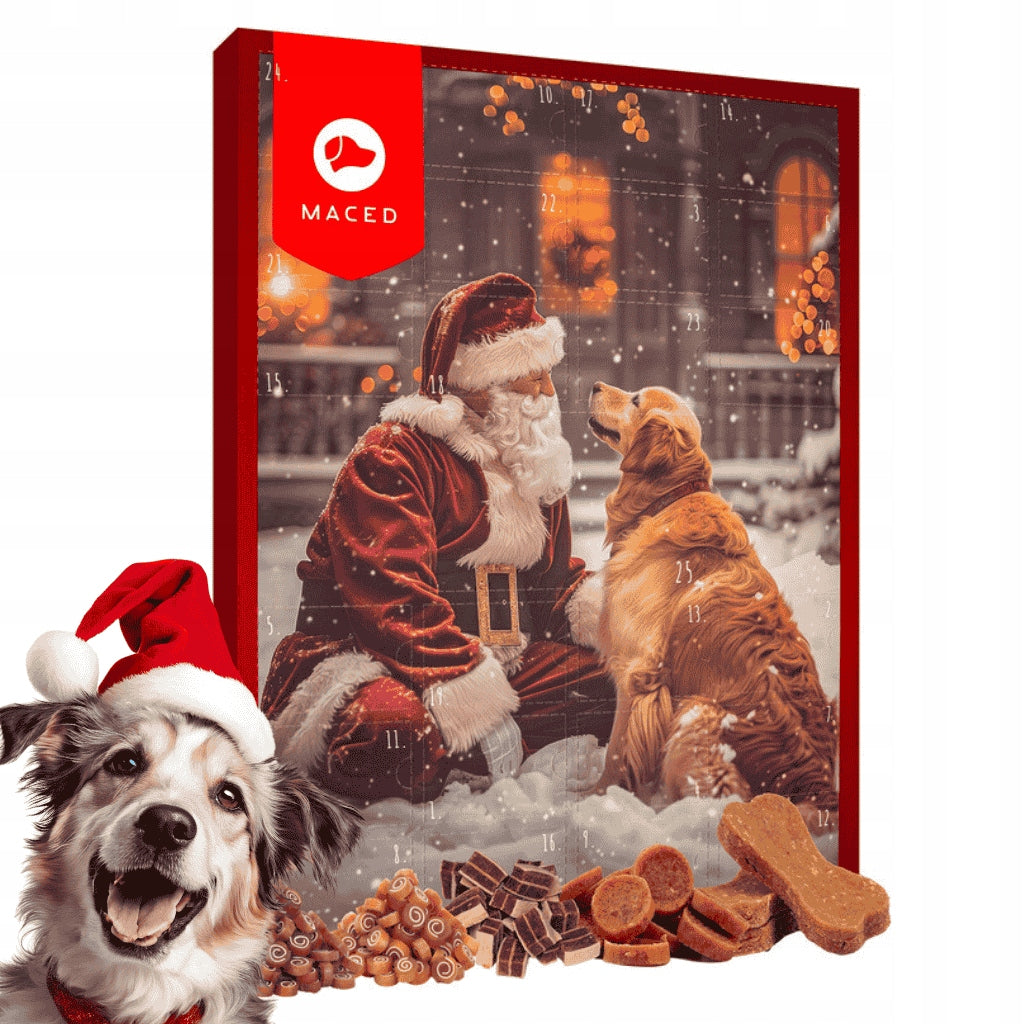 MACED ADVENT CALENDAR CHRISTMAS GIFT FOR DOG 155g