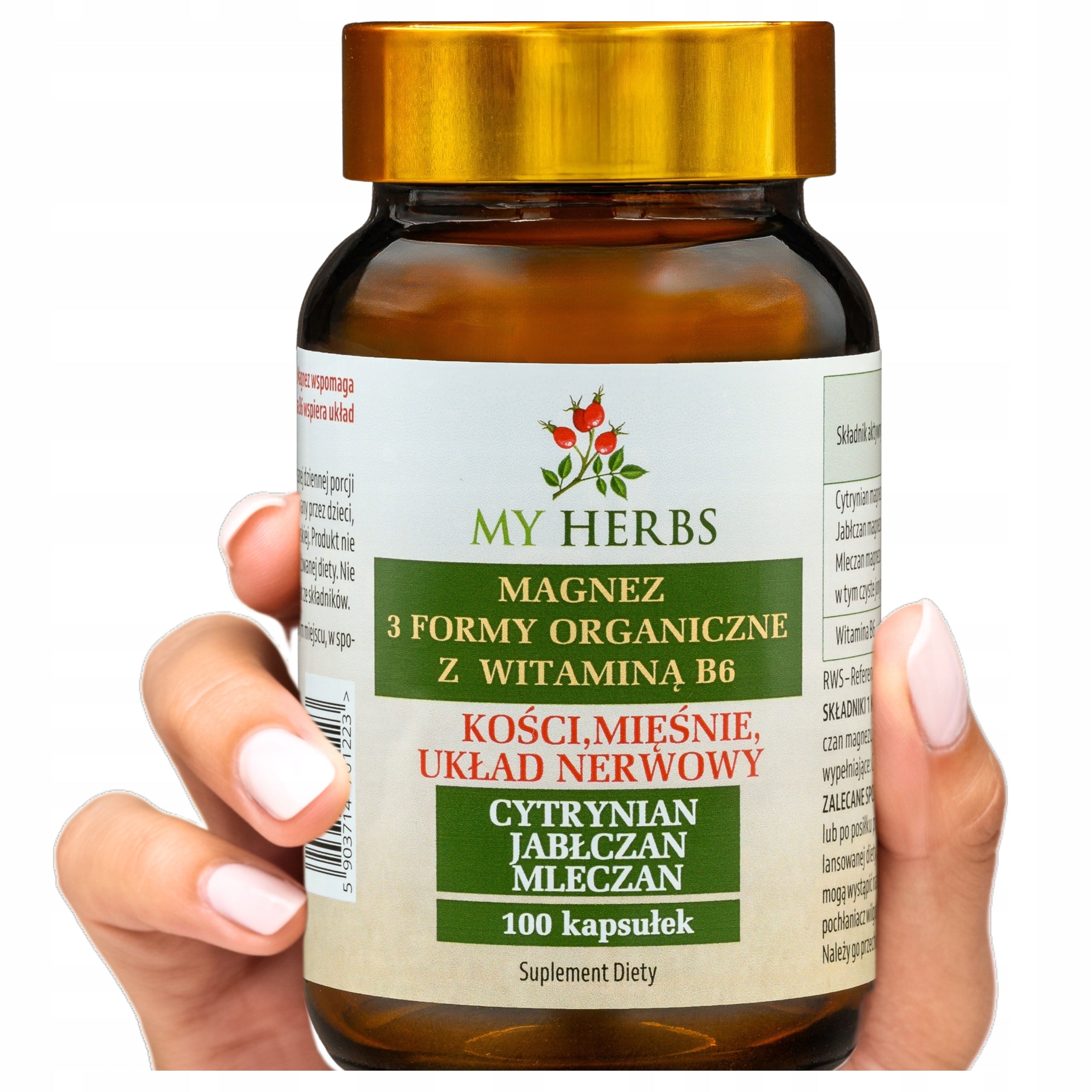 MAGNESIUM FROM B6 3 FORMS CITRATE LACTATE MALATE 100