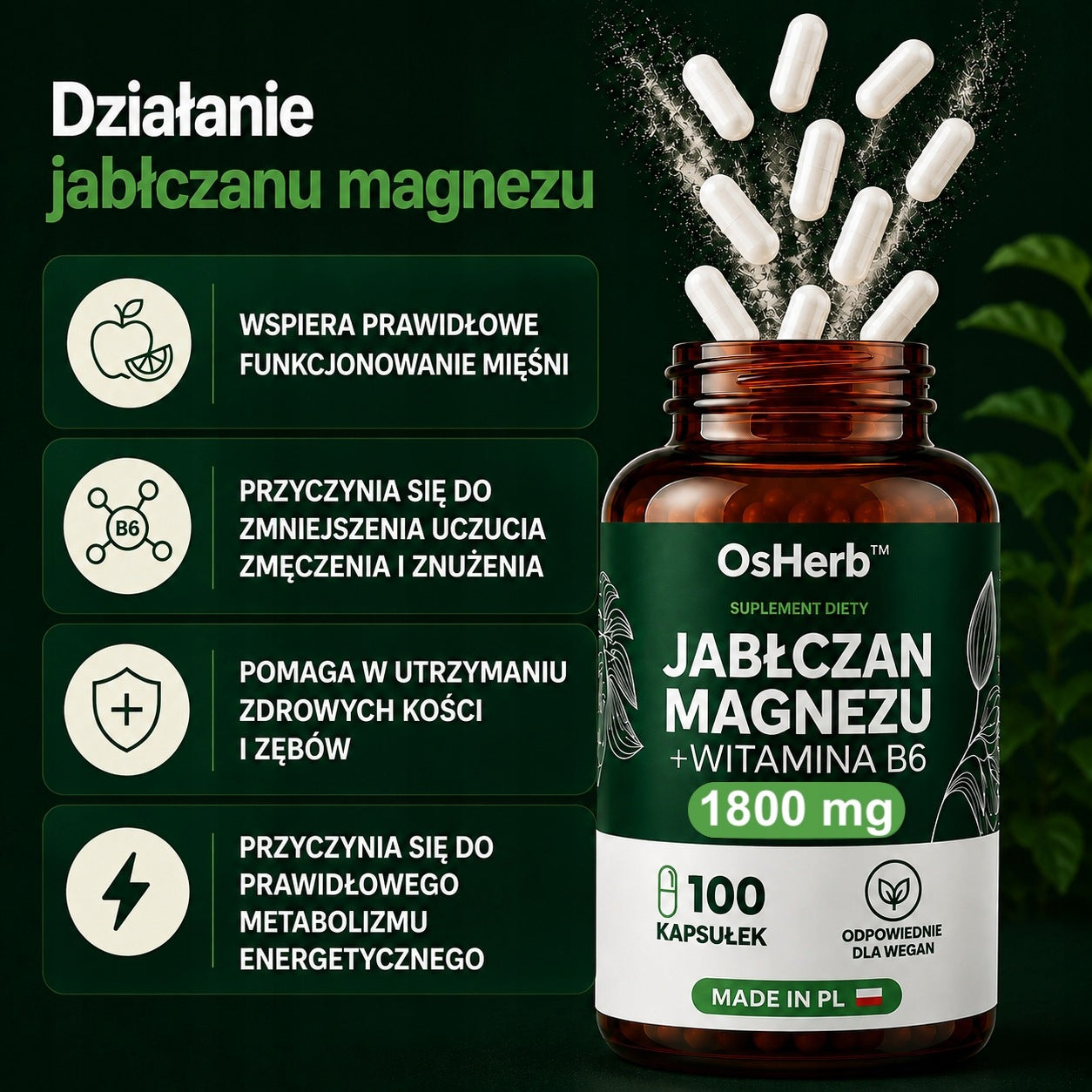MAGNESIUM | Magnesium MALATE + VITAMIN B6 1800mg 100 caps. Vege Without Fillers Packaging status original