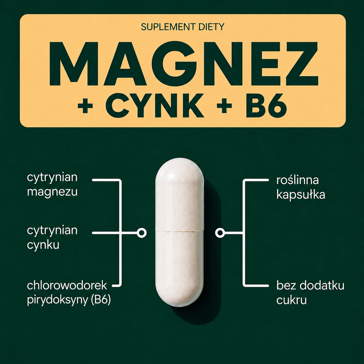 MAGNESIUM + ZINC + VITAMIN B6 Forte 100 Caps. Muscle Testosterone Nerves ZMA Expiration date at least 1 year from the date of purchase
