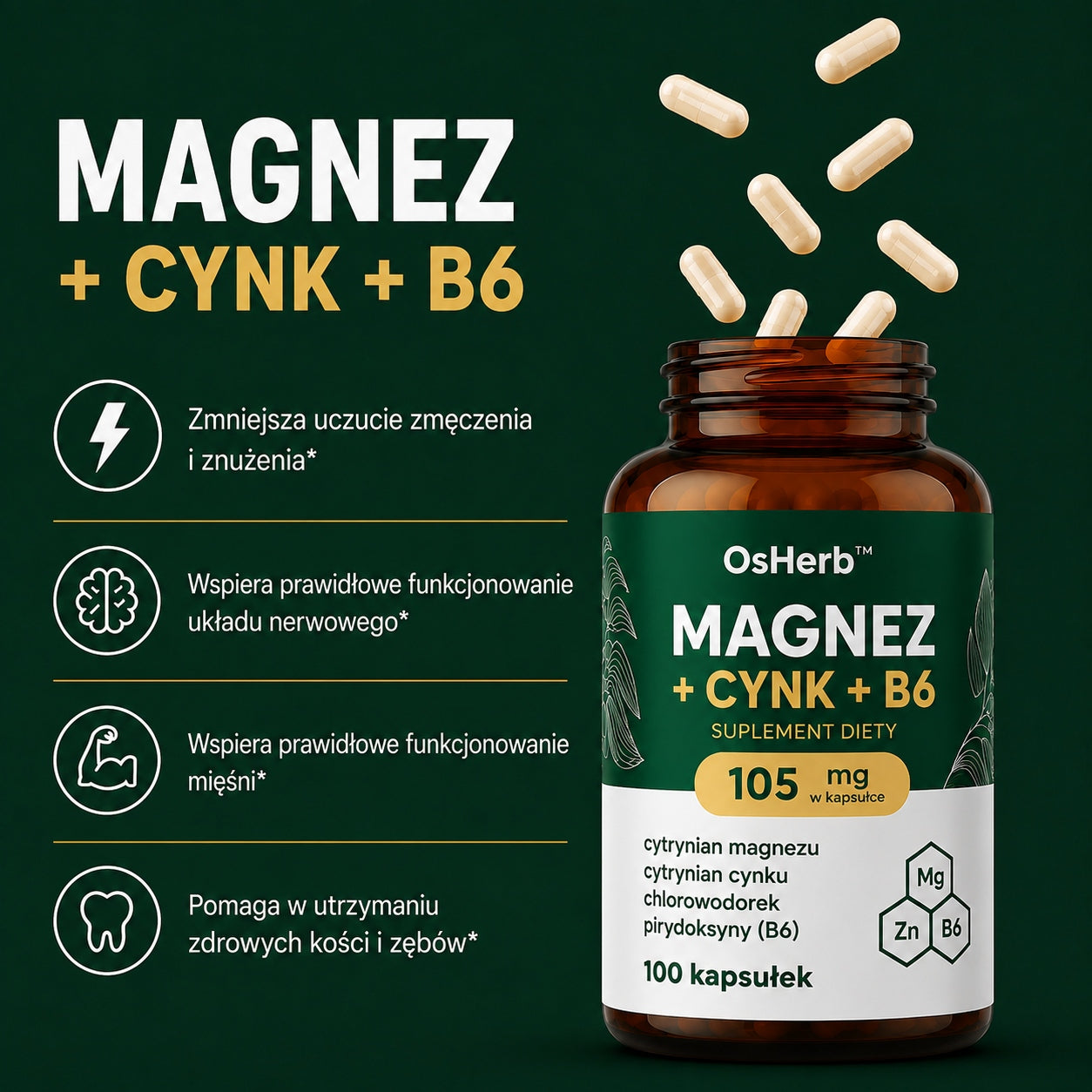 MAGNESIUM + ZINC + VITAMIN B6 Forte 100 Caps. Muscle Testosterone Nerves ZMA Packaging status original