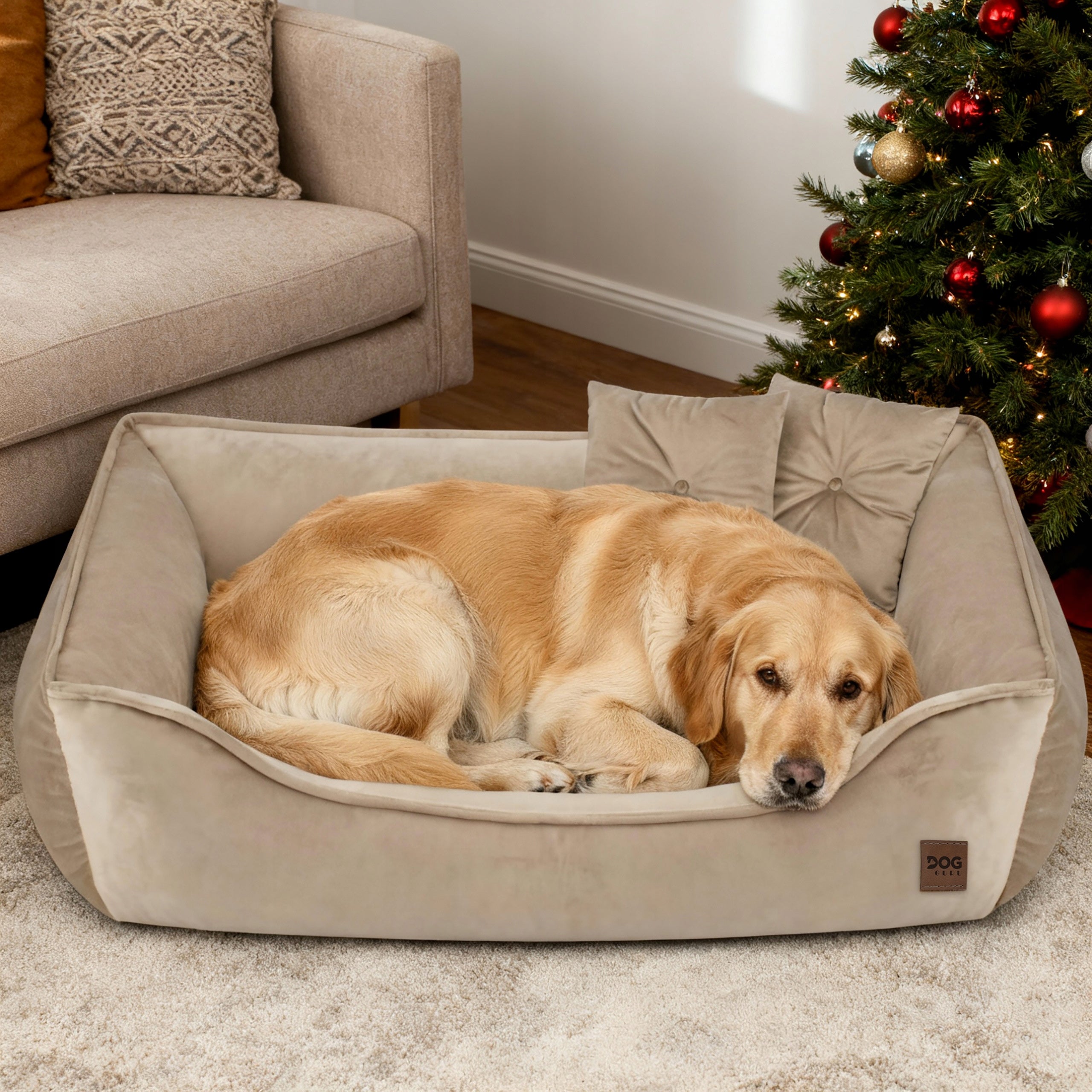 MARCO DOG BED WITH PILLOWS VELVET COUCH PREMIUM 90x60 BEIGE Model MARCO