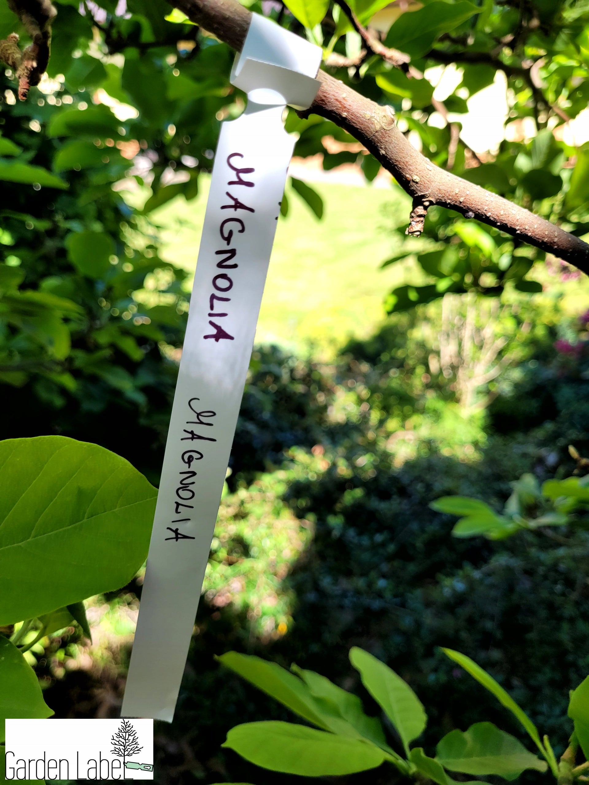 MARKER +4 COLORS Gardening Loop Labels for Writing 160x17mm 400 Pieces Brand Garden Label