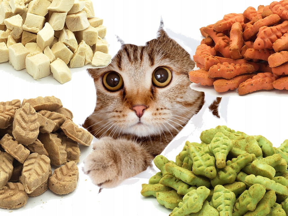 MASTER DOG FREEZE-DRIED CAT TREATS 4x 40G Packaging status original