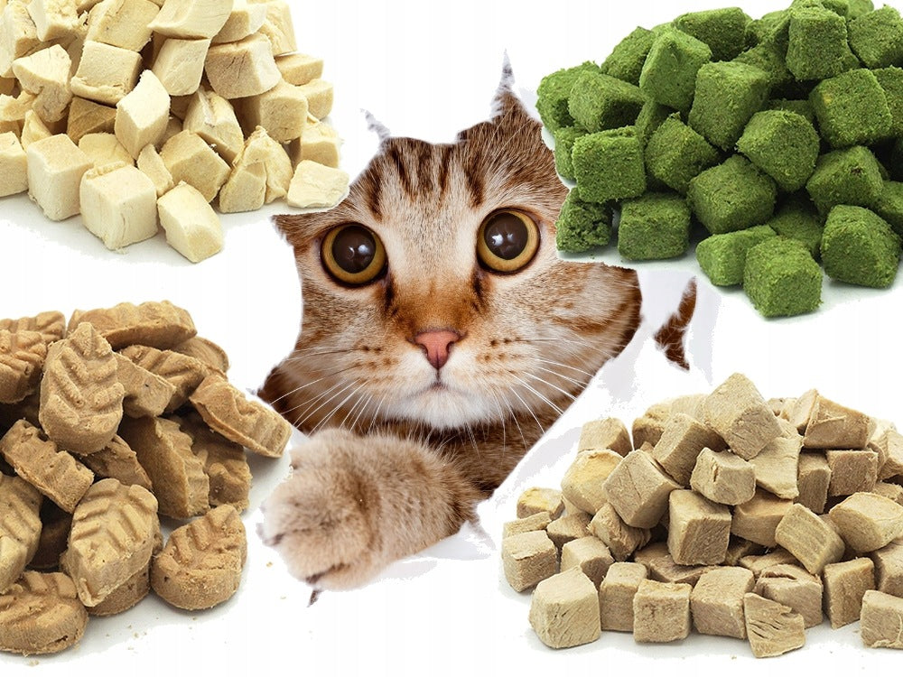 MASTER DOG FREEZE-DRIED CAT TREATS 4x 40G