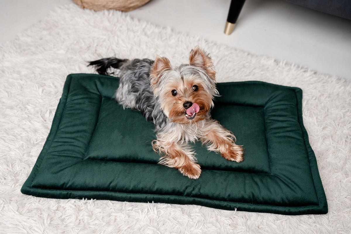 MAT DOG BED MIMIKO Pets 70x50cm BOTTLE GREEN VELVET Brand Mimiko Pets