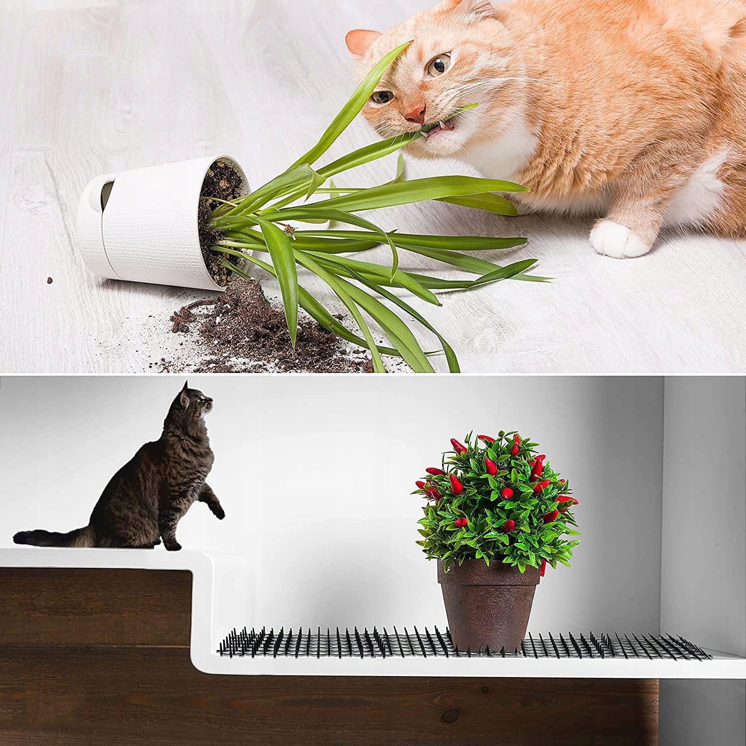 MAT WITH SPIKES REPELLING CATS AND DOGS MESH SPIKES AGAINST CATS 15PCS Brand no brand