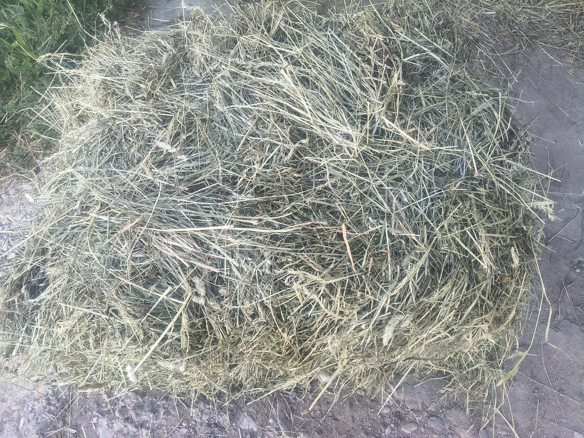 MEGA PACK HAY 5 KG FOR RODENTS AND RABBITS FROM FARMER LARGE STOCK 5KG Manufacturer code siano5kg