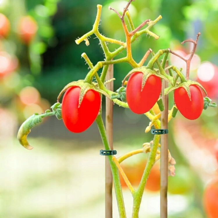 MEGA SET OF 700PCS CLASP CLIPS FOR TOMATOES BEAN STEMS SHOOTS Product width 2.4 cm
