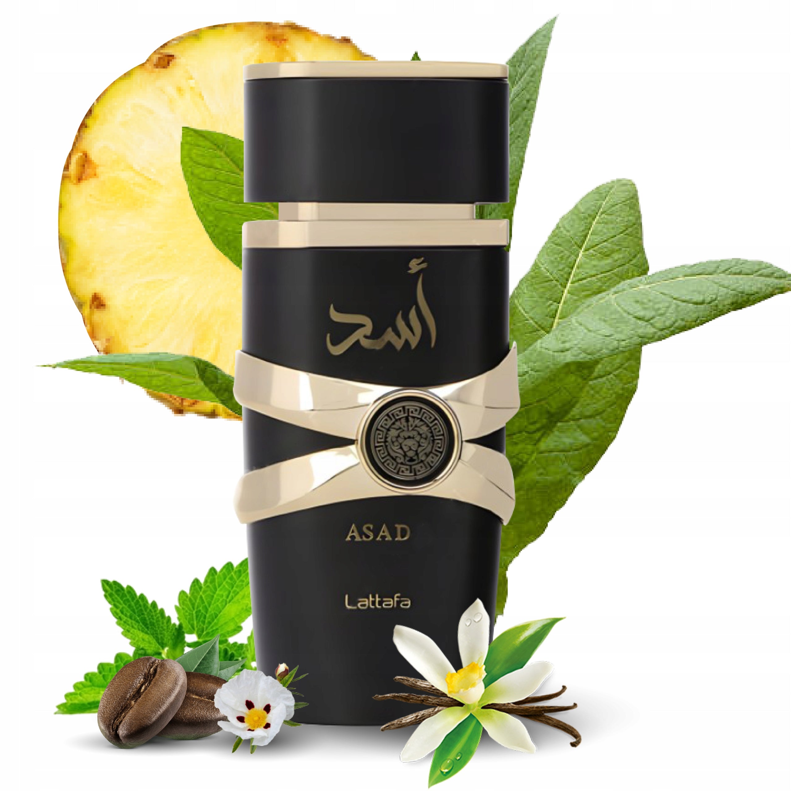 MEN'S PERFUME LATTAFA ASAD 100 ML DURABLE ARABIC ORIGINAL + 2 SAMPLES Brand Lattafa