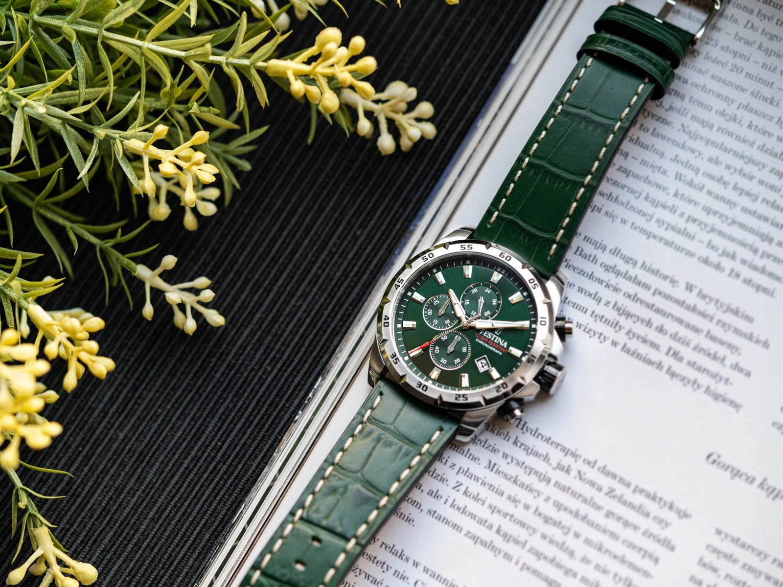 MEN'S WATCH FESTINA F20692/3 TIMELESS CHRONOGRAPH GREEN ON STRAP 10ATM Brand Festina