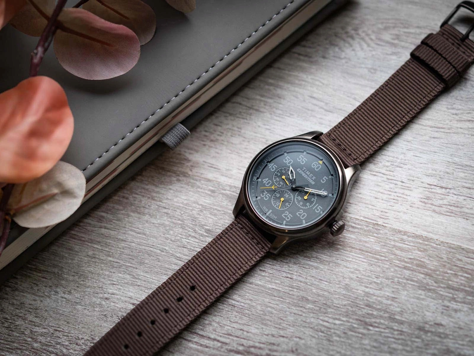 MEN'S WATCH TIMEX TW4B30900 EXPEDITION BROWN ON MULTIDATA STRAP Brand Timex