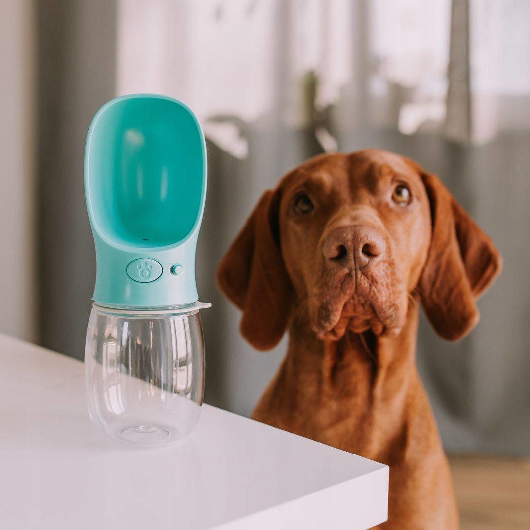 MERSJO Travel bottle portable drinker for dog TURQUOISE 350 ml 1 pc. Device type water bottle