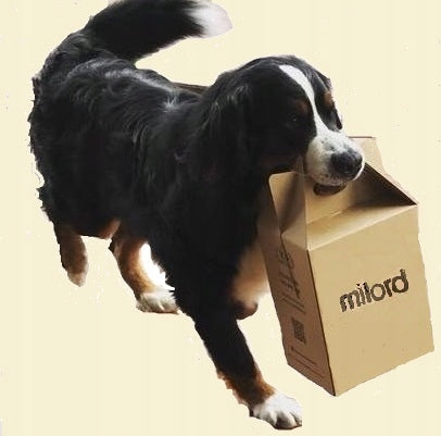 MILORD DELICACY 100% DRIED MEAT IN STRIPS Manufacturer code MILOD SUSZONE MIĘSO W PASKACH