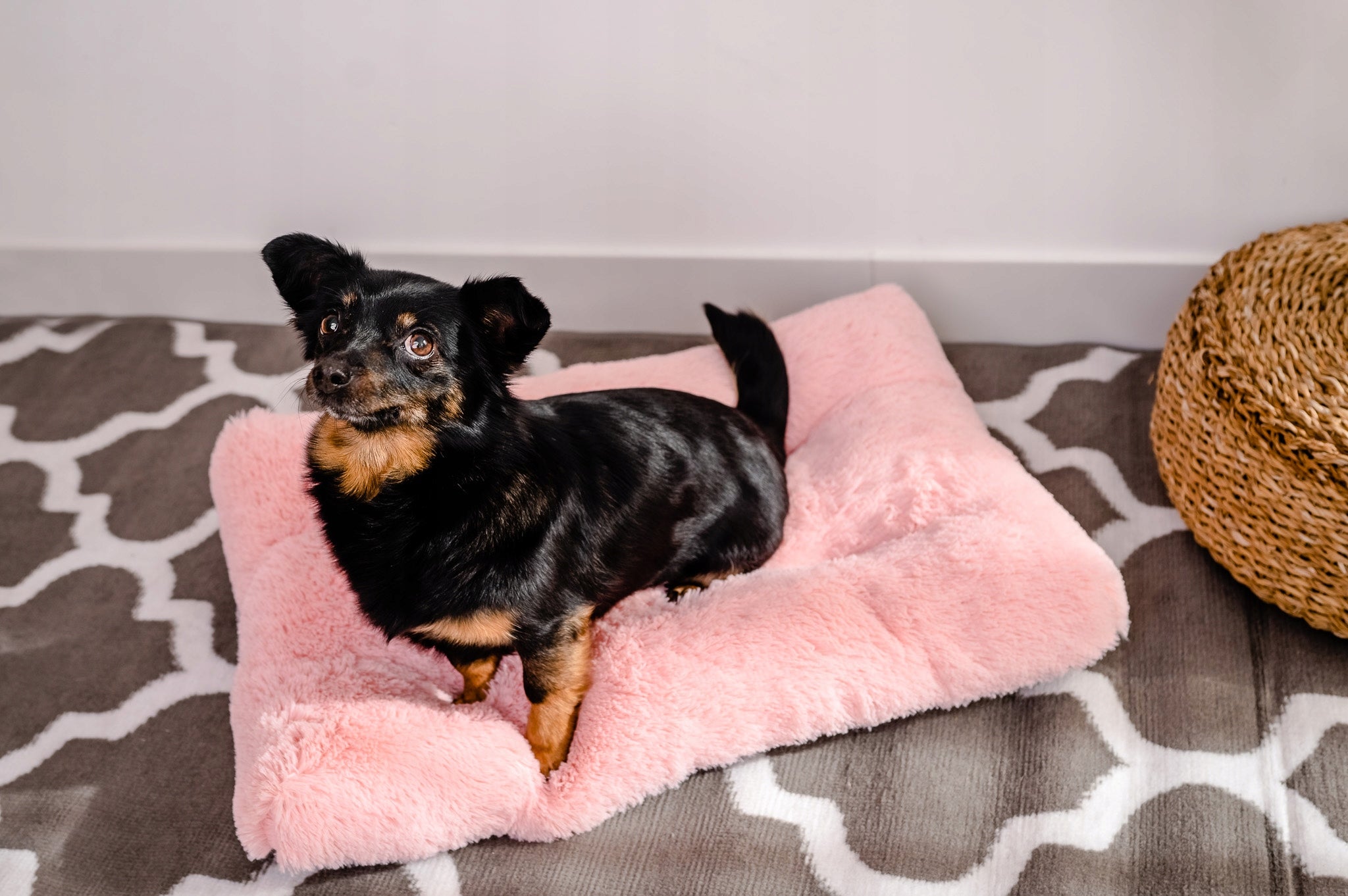 MIMIKO Pets Rectangular Shaggy Bed L 65x45cm pink Manufacturer code MP1213