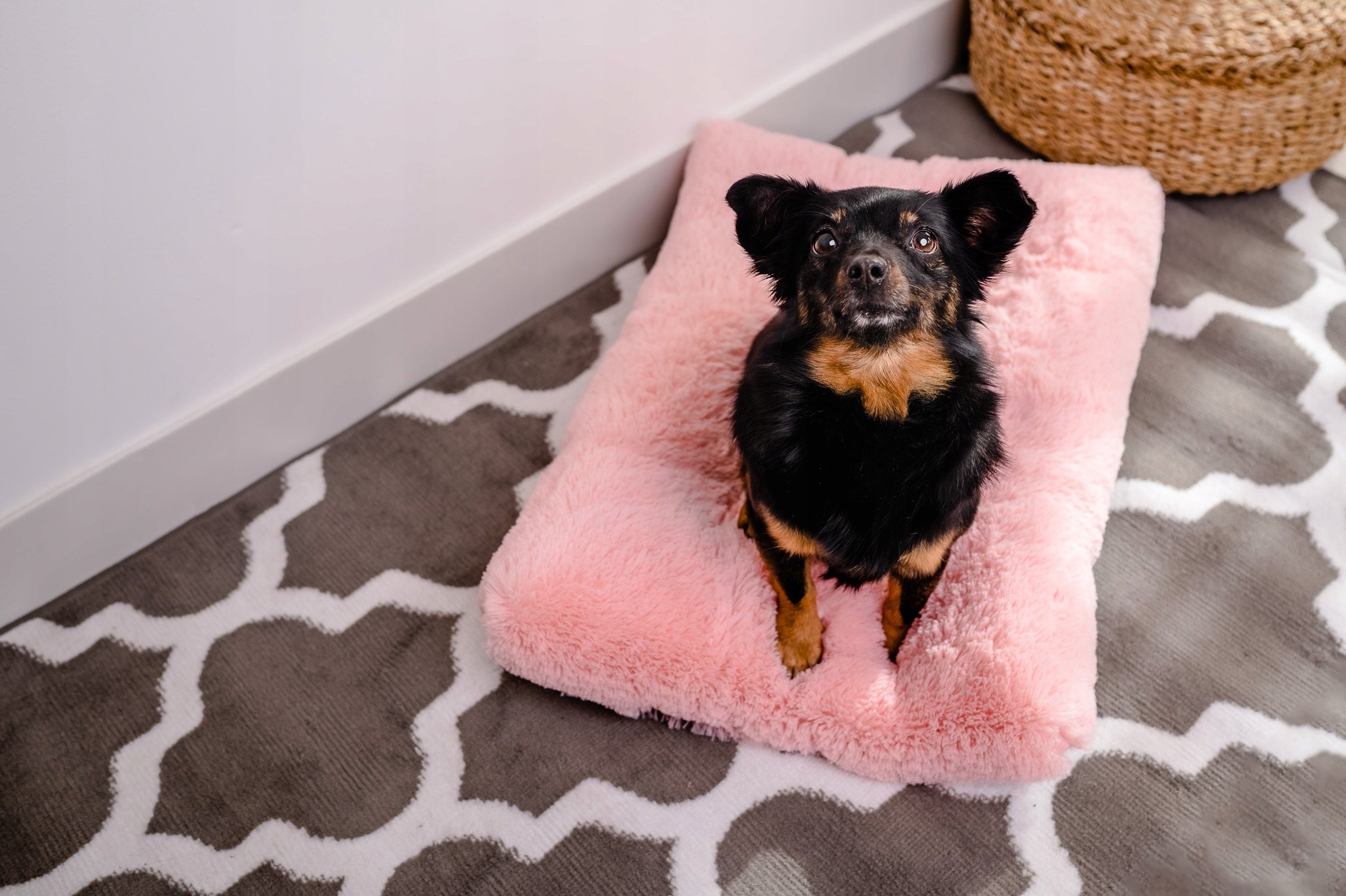 MIMIKO Pets Rectangular Shaggy Bed L 65x45cm pink Model 21665