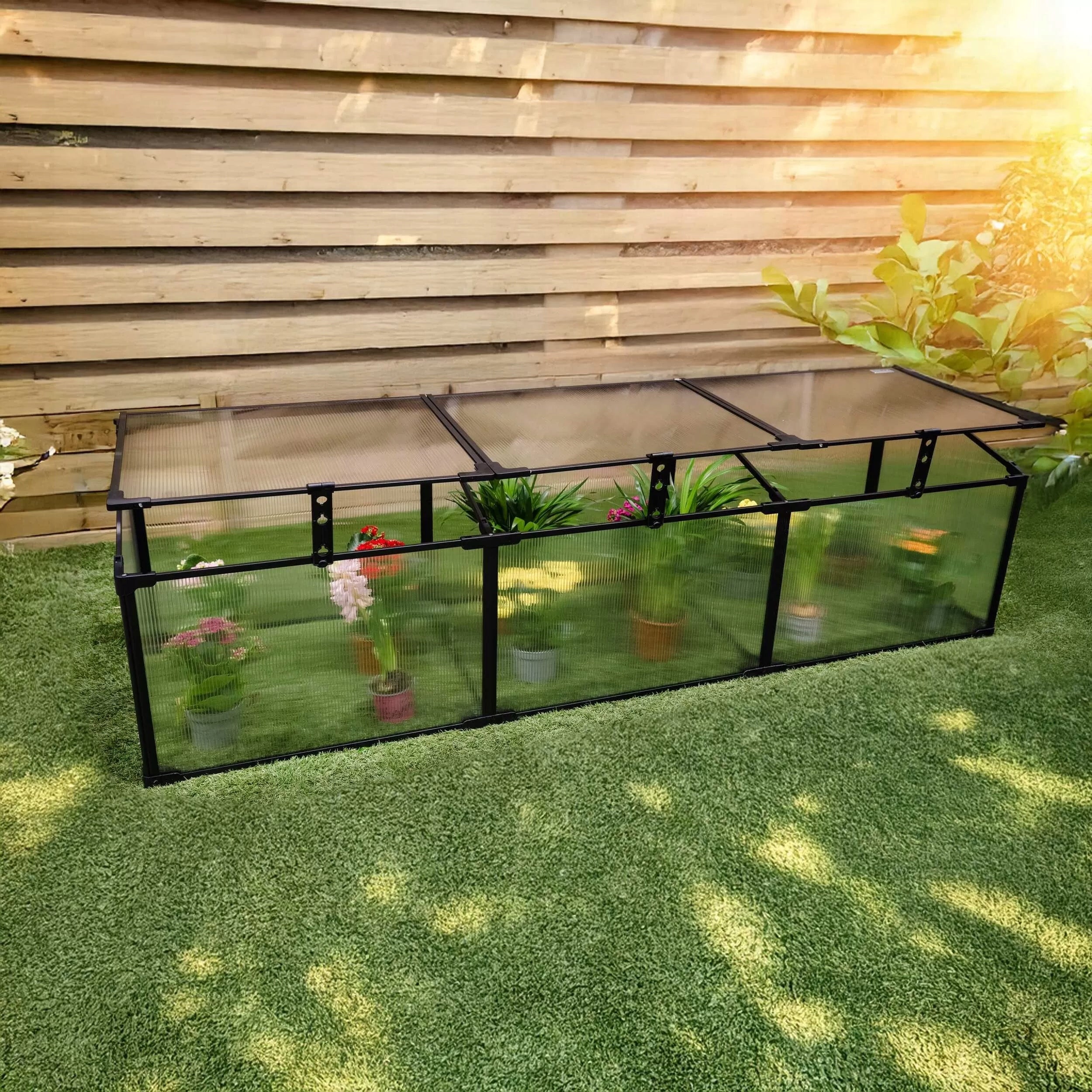 MINI GREENHOUSE 180 CM INSPECTION SEEDLING 3 CHAMBERS BLACK MAGNOLIA III Length 180 m
